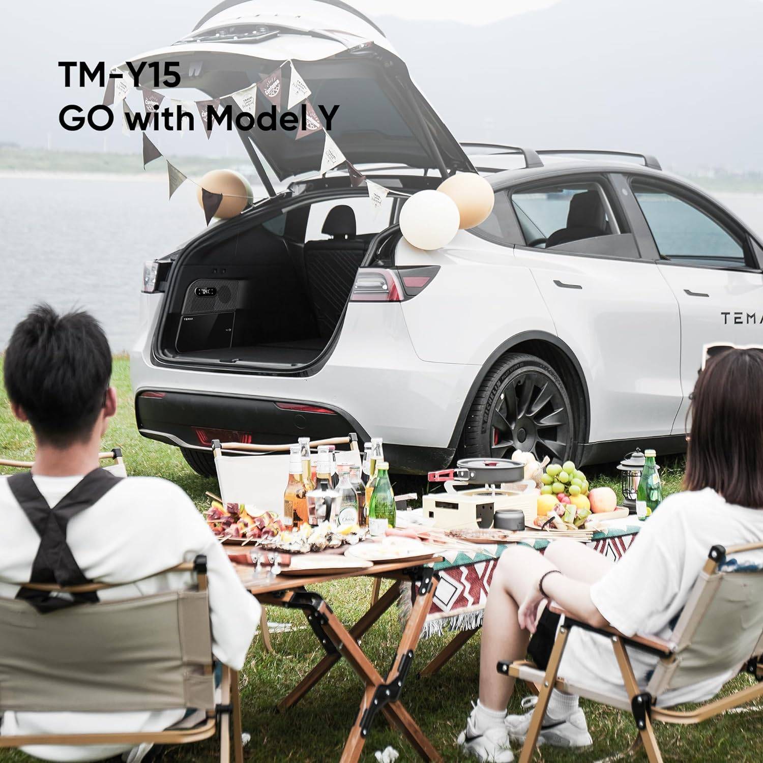 Compact 12V-16V Car Refrigerator Road Trip Accessories Color : White Compact 12V-16V Car Refrigerator Road Trip Accessories Color : White