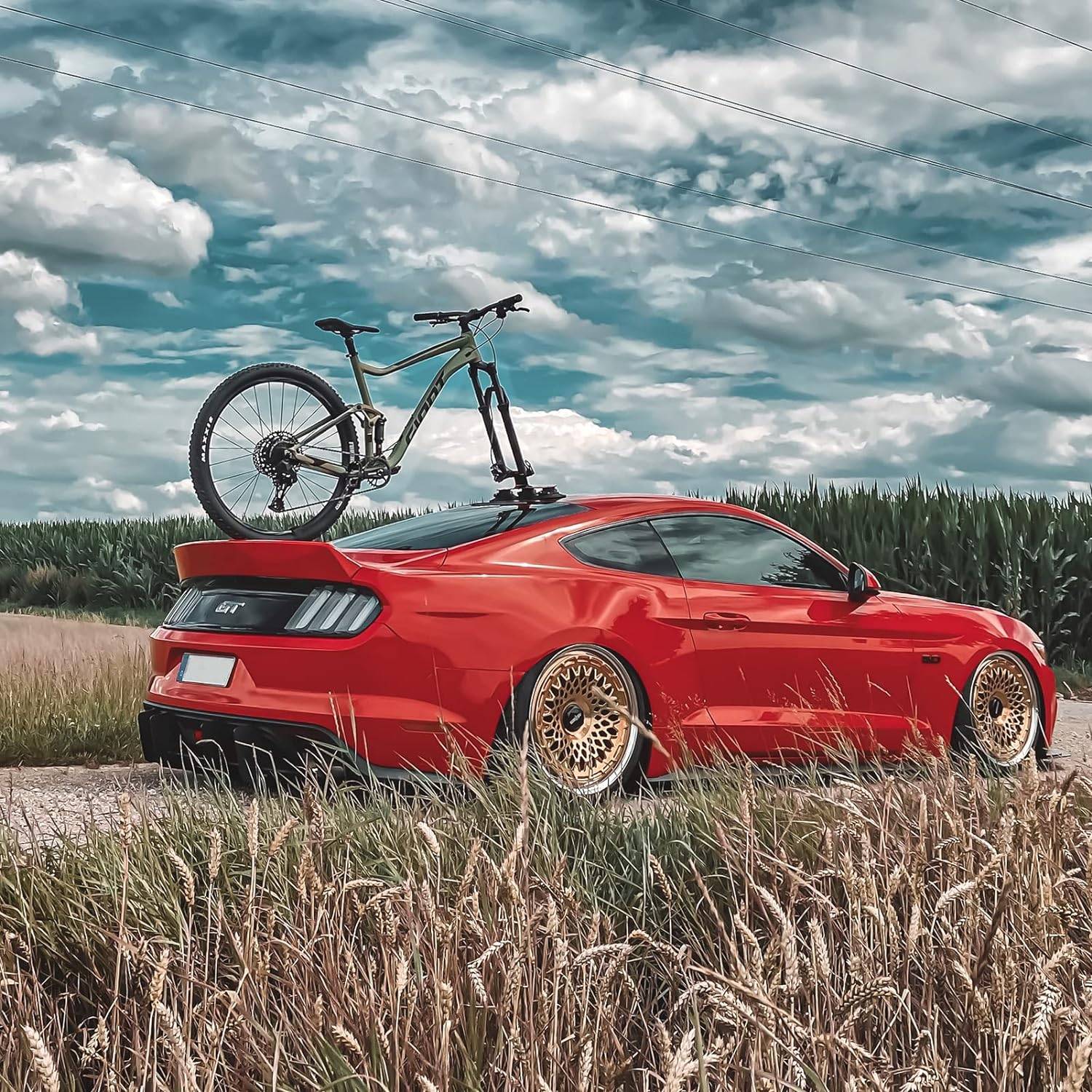 Versatile Suction Roof-Top Bike Carrier – Easy Install for MTB and Road Bikes Car Storage & Organization Model : 1 – Black|1 – Red|2 – Black|2 – Red|3 – Black|3 – Red Versatile Suction Roof-Top Bike Carrier – Easy Install for MTB and Road Bikes Car Storage & Organization Model : 1 - Black|1 - Red|2 - Black|2 - Red|3 - Black|3 - Red